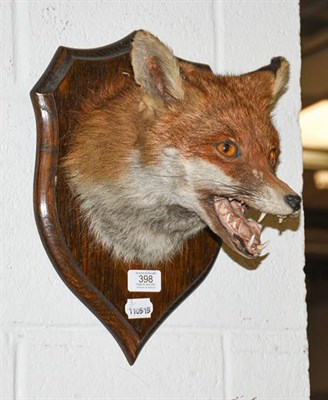 Lot 398 - Taxidermy: European Red Fox Mask (Vulpes vulpes), dated 1960, by Rowland Ward, 64/65 Grosvenor...