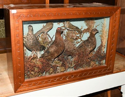 Lot 404 - Taxidermy: A case of Victorian game and garden birds, comprising a Red Grouse cock bird and two hen