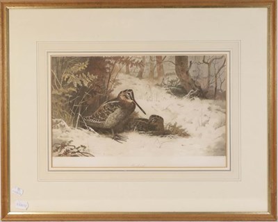 Lot 1020 - A large collection of sporting signed prints to include Archibald Thorburn and Lionel Edwards,...