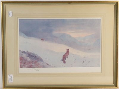 Lot 1049 - After Archibald Thorburn signed print of a fox stalking a deer, together with a further signed...