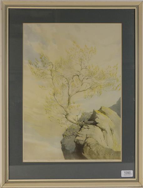 Lot 1090 - William Heaton Cooper RI (1903-1995) ''Wind and Sun, Wastwater'', signed and inscribed in pencil, a