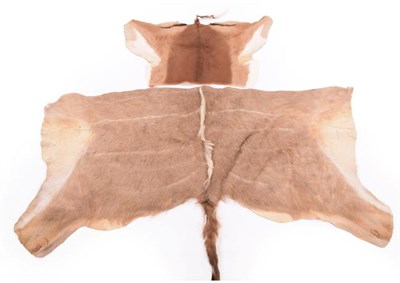 Lot 4 - Horns/Hides: A Small Collection of African Hides and Skull, modern, comprising -  adult Blue...