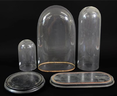 Lot 36 - Glass Domes: A Quantity of Glass Domes and Bases, a period circular glass dome, diameter 15cm,...