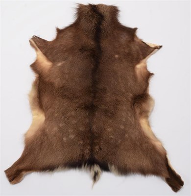 Lot 41 - Hides /Skins: A Collection Of European & African Game Trophy Skins, circa late 20th century,...