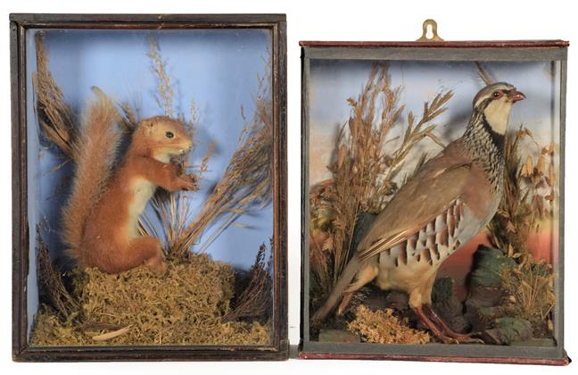 Lot 68 - Taxidermy: A Cased French Partridge and Red Squirrel, circa early 20th century, a full mount...