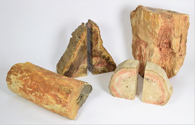 Lot 87 - Fossils: Petrified Wood Specimens, Brazil, a pair of petrified wood bookends, 9.5cm by 7cm by...