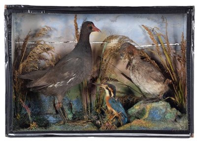 Lot 95 - Taxidermy: A Late Victorian Cased Diorama of British Birds, dated 1874, by H. Crook, Castle Street