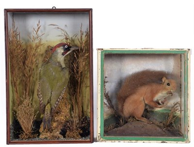 Lot 99 - Taxidermy: A Cased Green Woodpecker and Red Squirrel, circa 1900, a full mount adult male Green...