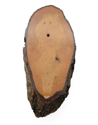 Lot 112 - Taxidermy: Shields, fifty mixed split oak tree shields, various sizes - average 10cm by 22cm,...