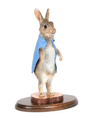 Lot 114 - Taxidermy: Peter Rabbit (Oryctolagus cuniculus), circa 2020, by A.J. Armitstead, Taxidermy,...