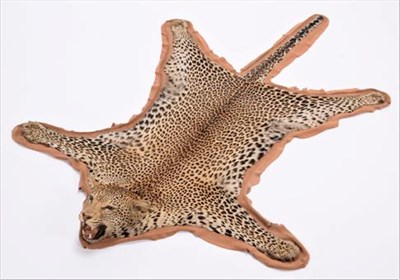 Lot 145 - Taxidermy: African Leopard Skin Rug (Panthera pardus pardus), dated May 1964, Mozambique,...