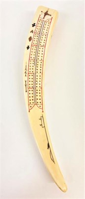 Lot 153 - Natural History: A Late 19th Century Walrus Tusk Cribbage Board, of natural curved form, the...