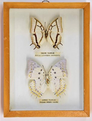 Lot 156 - Entomology: A Cased Display of Tropical Butterflies, circa late 20th century, a wall hanging...