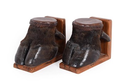 Lot 176 - Animal Furniture: A Pair of Cape Buffalo Hoof Bookends (Syncerus caffer caffer), modern, South...
