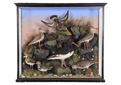Lot 178 - Taxidermy: A Rare Late Victorian Cased Diorama of Wading Birds, by Williams & Son, 2 Dame...