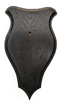 Lot 183 - Taxidermy: Shields, fifty matching dark oak shields, 11cm by 19cm, (50) used.