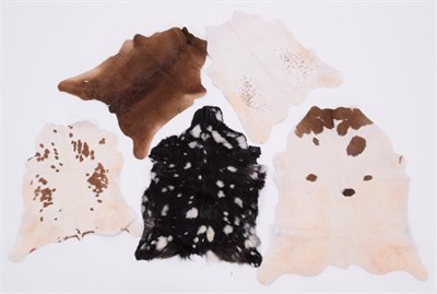 Lot 201 - Hides/Skins: A Collection of Cow & Calf Hides, modern, a large Cow hide rug, printed as a...