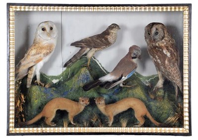 Lot 205 - Taxidermy: A Late Victorian Diorama of European Birds & Animals, comprising - Barn Owl, Tawny...