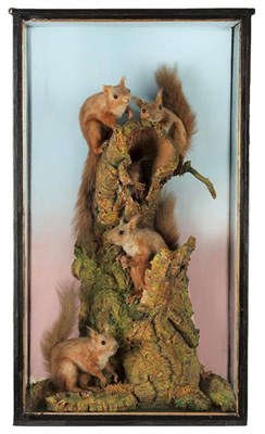 Lot 209 - Taxidermy: A Late Victorian Case of Red Squirrels (Sciurus vulgaris), dated 1875, a large...