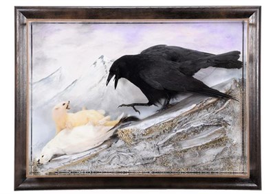 Lot 242 - Taxidermy: A Wall Cased Carrion Crow, Ermine & Ptarmigan Diorama, titled ''Survival'', circa...