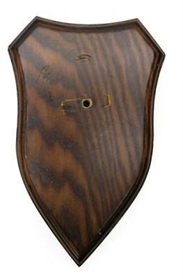 Lot 251 - Taxidermy: Shields, fifty matching dark and light oak shields, 12cm by 18.5cm, (50) used.