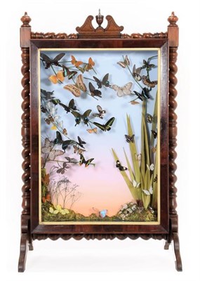 Lot 261 - Entomology Furniture: A Late Victorian Framed Diorama Firescreen of Tropical Butterflies, a...