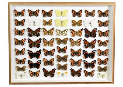 Lot 280 - Entomology: Two Framed British Butterfly Displays, circa early-mid 20th century, a collection...