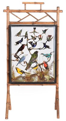 Lot 281 - Taxidermy: A Late Victorian Diorama Firescreen of Tropical Birds, in the manner of Rowland...