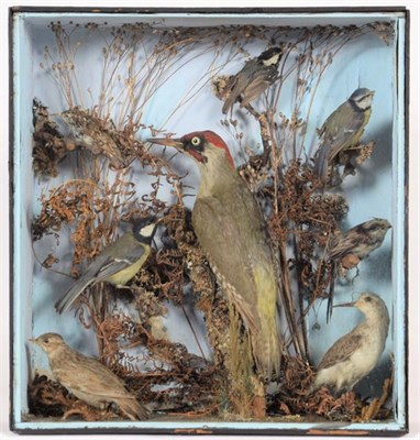 Lot 292 - Taxidermy: A Cased European Bird Diorama, circa 1870-1900, comprising - a Green Woodpecker,...