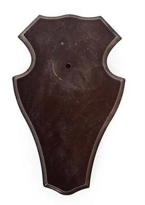 Lot 297 - Taxidermy: Shields, fifty similar dark oak shields, 11cm by 19cm, (50) used.
