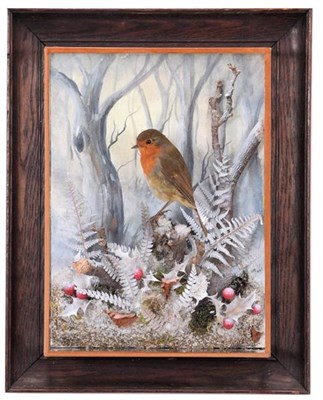 Lot 299 - Taxidermy: A Wall Cased European Robin (Erithacus rubecula), dated October 2020, by A.J....
