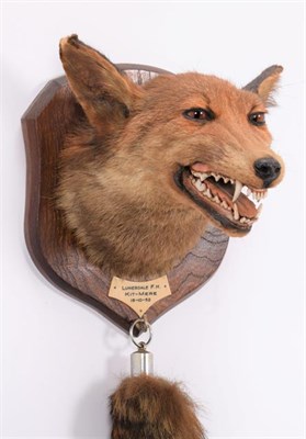 Lot 300 - Taxidermy: European Red Fox Mask (Vulpes vulpes), dated 18th October 1952, by Thomas Salkeld,...
