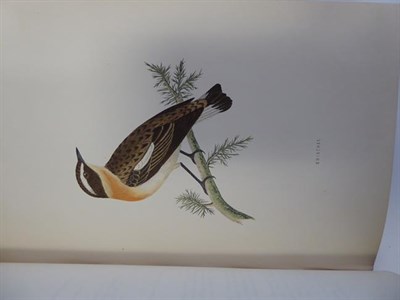 Lot 60 - Morris (Francis Orpen). A History of British Birds, 2nd edition, London: Bell and Daldy, 1870....