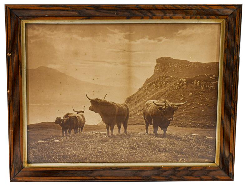 Lot 158 - Reid (Charles, 1837-1929). Highland cattle, c.1880-1900, large carbon print, signed 'C. Reid'...