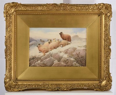Lot 1027 - Thomas Sidney Cooper CVO, RA (1803-1902) ''Sheep in Snow''  Signed and dated, 1860, pencil and...