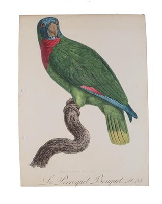 Lot 1106 - After Jacques Barraband (1767-1809) French Studies of Parrots  Hand coloured engravings from...