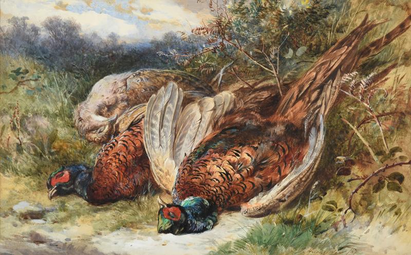 Lot 1114 - James Hardy Junior (1832-1889) Dead Pheasants Signed, pencil, watercolour and gouache, 27cm by 43cm