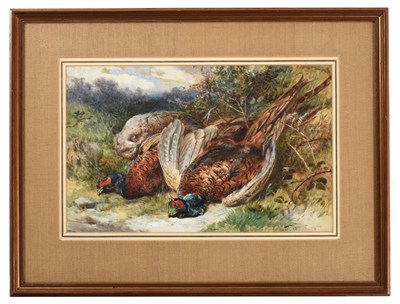 Lot 1114 - James Hardy Junior (1832-1889) Dead Pheasants Signed, pencil, watercolour and gouache, 27cm by 43cm