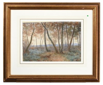 Lot 1115 - Vincent Balfour-Browne (1880-1863) Fox in woodland Signed and dated 1930, watercolour, 16.5cm...