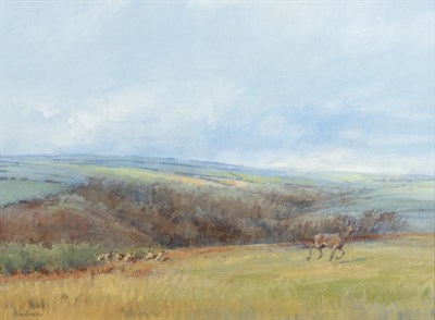 Lot 1119 - Alison Guest (b.1951)  ''Away from Cuzzlecombe Gorse''  Signed, watercolour and bodycolour, 39cm by