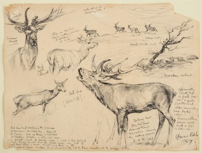 Lot 1125 - Arthur Spencer Roberts (1920-1997) Irish  Study of a herd of Red Deer Signed, extensively inscribed