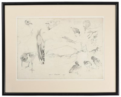 Lot 1127 - Arthur Spencer Roberts (1920-1997) Irish  Study of Gulls & Oystercatchers  Signed, inscribed...