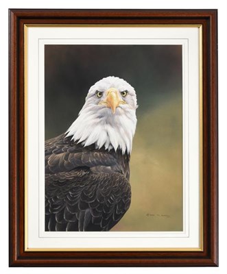 Lot 1128 - Alan M Hunt (b.1947)  Bald Eagle  Signed and dated 1992, gouache, 48cm by 35.5cm   Artist's...