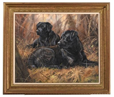 Lot 1134 - John Trickett (b.1952) Black Labradors at rest  Signed, oil on canvas, 51cm by 61cm  Artist's...