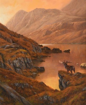 Lot 1135 - John Trickett (b.1952) Dusk in the highlands with stag Signed, oil on canvas, 61cm by 51cm...