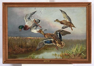 Lot 1145 - William Woodhouse (1857-1939) Grouse shooting  Duck shooting  Each signed, oil on canvas, 48cm...