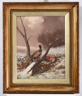 Lot 1149 - Colin Graeme Roe (fl.1858-1910) Pair of Grouse and a Fox in a moorland landscape Cock and Hen...
