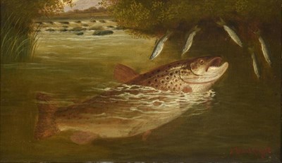 Lot 1151 - A Roland Knight (fl.1879-1921) A Pike and Trout feeding Signed, oil on canvas, each 28.5cm by...