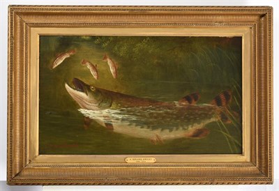 Lot 1151 - A Roland Knight (fl.1879-1921) A Pike and Trout feeding Signed, oil on canvas, each 28.5cm by...
