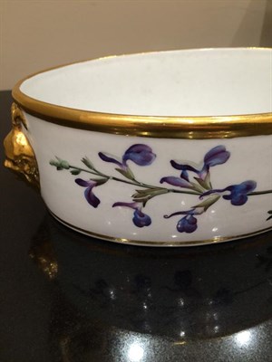 Lot 61 - A Chamberlains Worcester Porcelain Botanical Centrepiece and Pierced Cover, circa 1800, of oval...